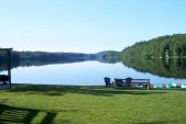 Lake in the Summer